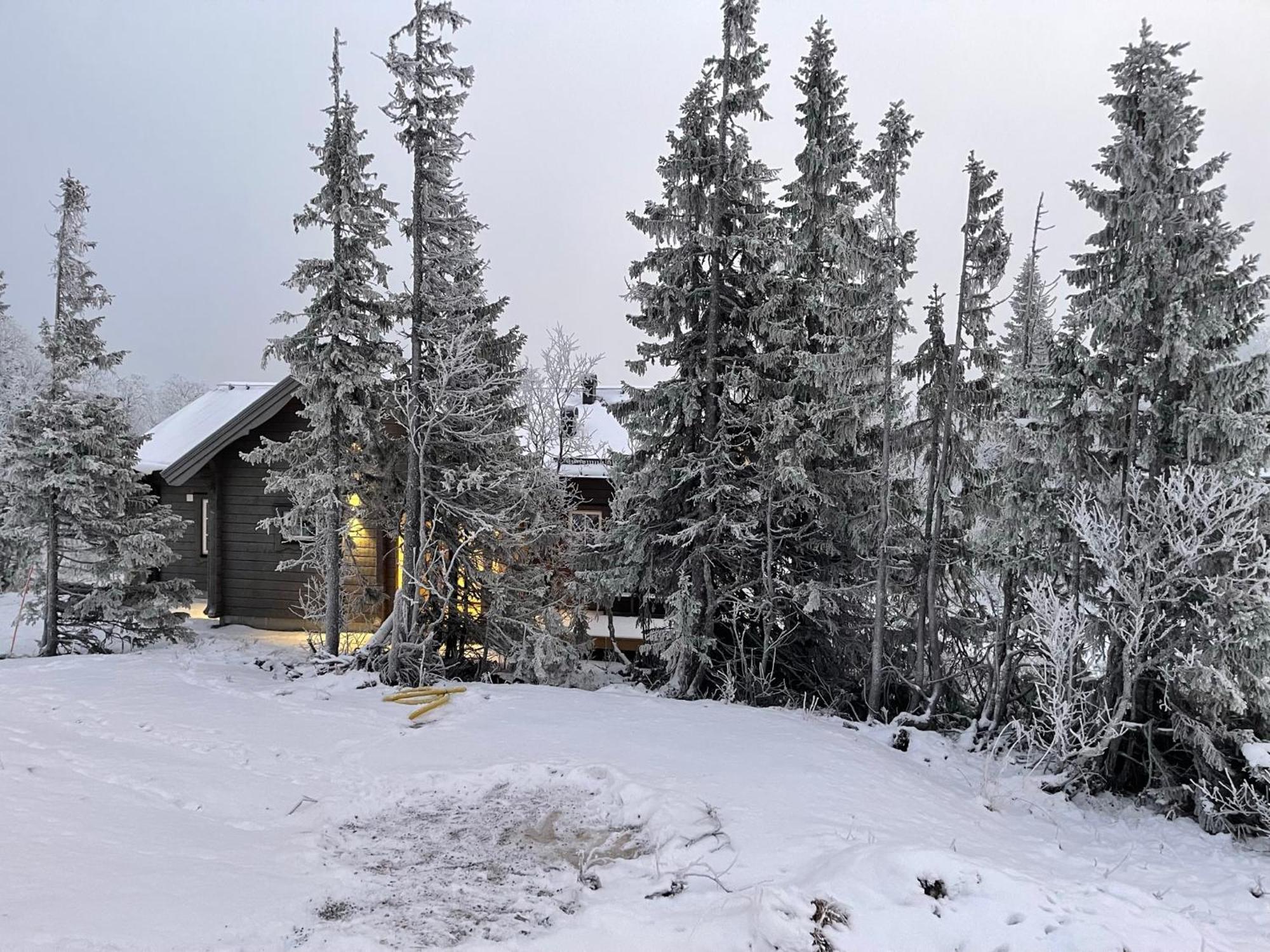 Mountain Holiday Homes - Ottsjoe, Trillevallen -Sweden Åre Rom bilde