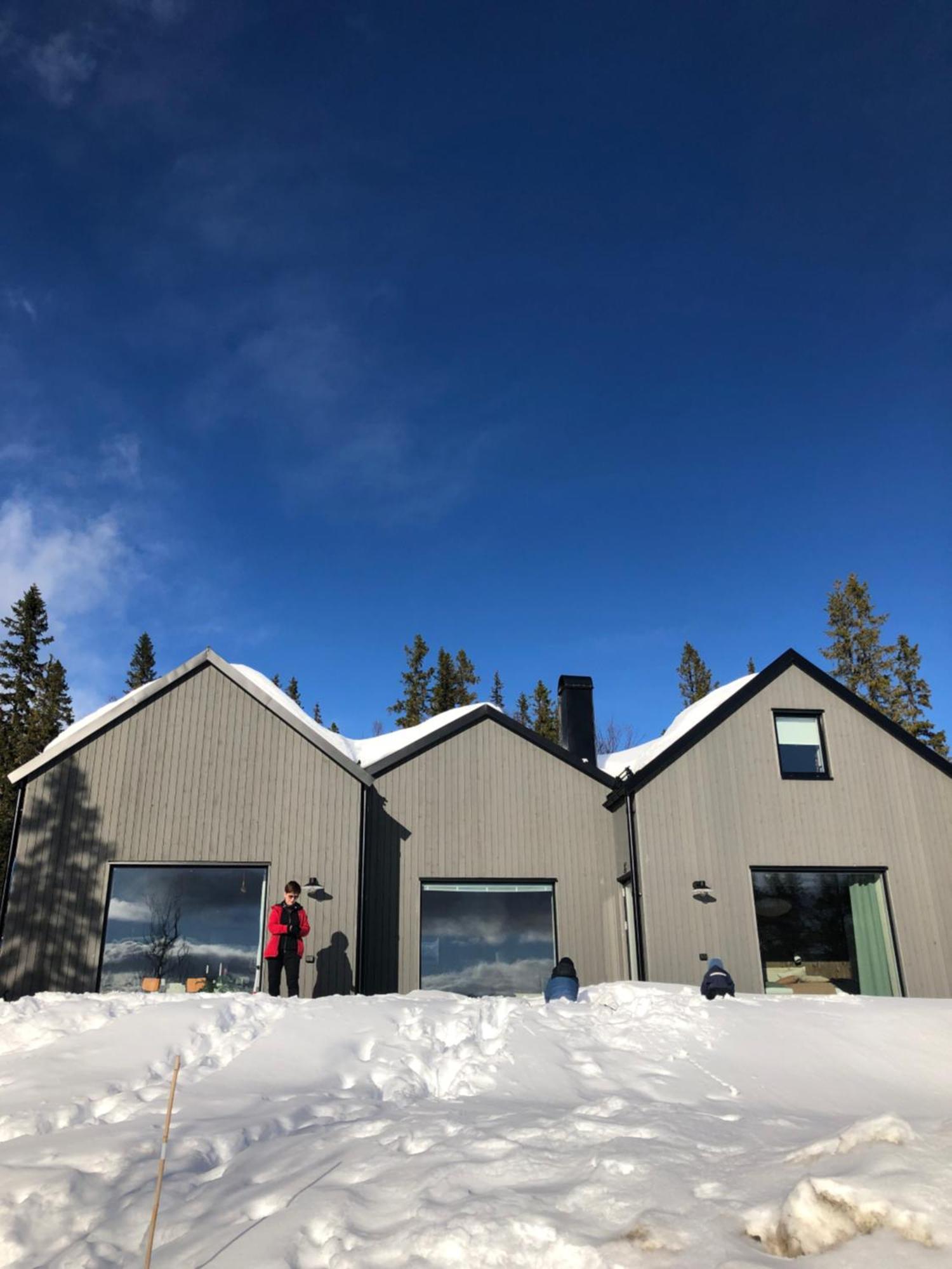 Mountain Holiday Homes - Ottsjoe, Trillevallen -Sweden Åre Eksteriør bilde
