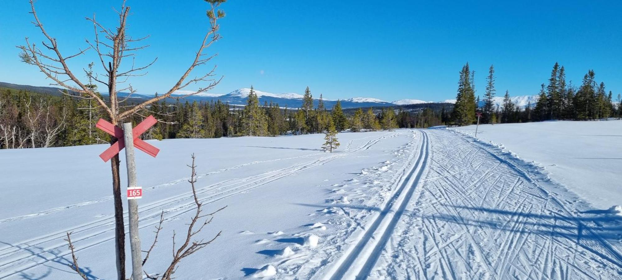 Mountain Holiday Homes - Ottsjoe, Trillevallen -Sweden Åre Eksteriør bilde