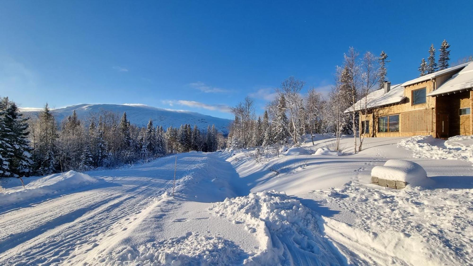 Mountain Holiday Homes - Ottsjoe, Trillevallen -Sweden Åre Rom bilde
