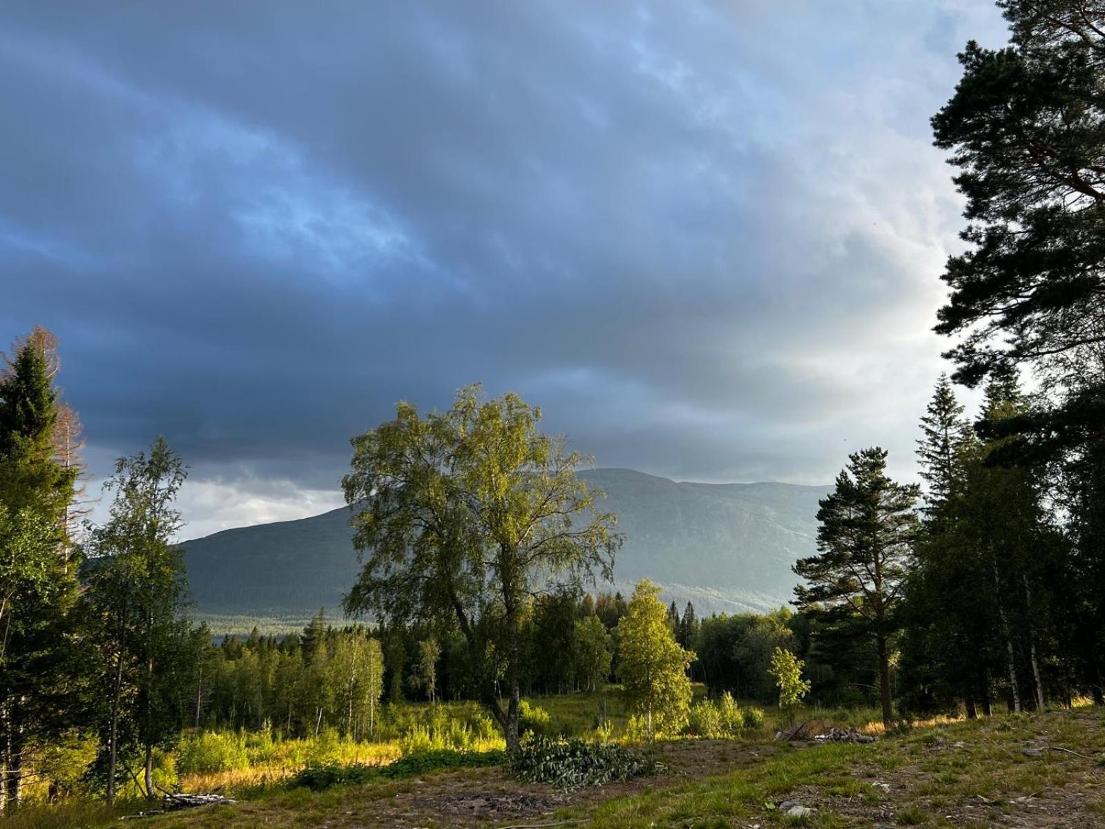 Mountain Holiday Homes - Ottsjoe, Trillevallen -Sweden Åre Rom bilde